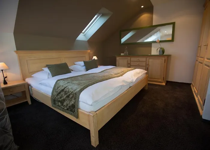 ホテル ハイリゲンシュタイン バーデン＝バーデン